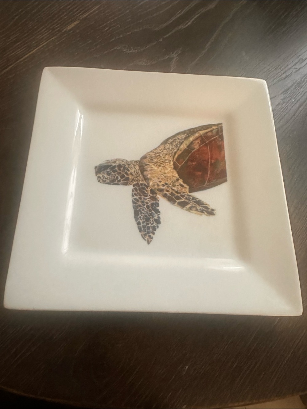 Kim Rody Reef Time Creations Turtle Dinner Plate